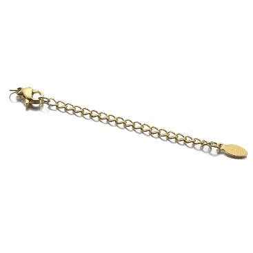 10pcs Stainless Steel Extension Extended Tail Chains Lobster Clasps Connectors DIY Jewelry Making Findings Bracelet Necklaces